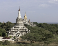 Shwegugyi Temple davanti a Ananda Temple in Bagan Foto n. 7114