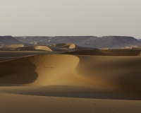 Dune nel Gilf Kebir Foto n. AOK0457