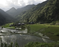 Terrazzamenti di riso  nel villaggio di Banga-an, isola di Luzon Foto n. 68655