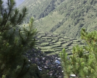 Terrazzamenti di riso del villaggio Brgy Bay-yo (etnia Bontoc), isola di Luzon Foto n. 6907