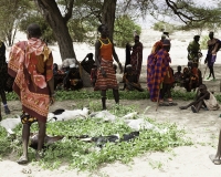 Matrimonio nel Villaggio Neputi  vicino il Lago Turkana Foto n. AOK6201