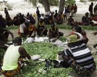 Matrimonio nel Villaggio Neputi  vicino il Lago Turkana Foto n. AOK6212