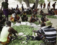 Matrimonio nel Villaggio Neputi  vicino il Lago Turkana Foto n. AOK6213