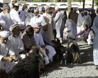 Mercato di Nizwa Foto N. POA7459