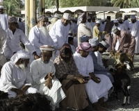 Mercato di Nizwa Foto N. POA7459