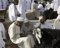 Mercato di Nizwa Foto N. POA7459