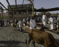 Mercato di Nizwa Foto N. POA7459