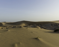 Deserto Wahiba Sands Foto N. POA7776