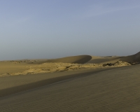 Deserto Wahiba Sands Foto N. POA7778