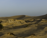 Deserto Wahiba Sands Foto N. POA7782