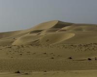 Deserto Wahiba Sands Foto N. POA7841