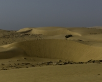 Deserto Wahiba Sands Foto N. POA7842