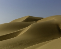 Deserto Wahiba Sands Foto N. POA7853