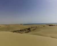 Deserto Wahiba Sands Foto N. POA7859