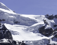 Huarapasca nel Parco Nazionale Huascaran – Ghiacciaio Pasto Rouri  Foto n. AOK2765