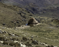 Cashan sulla strada tra il Ghiacciaio Pasto Rouri e il primo passo nel Parco Nazionale Huascaran   Foto n. AOK2945