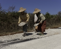 Donne al lavoro per la manutenzione della strada da Kalow a Loikaw  Foto n. AOK8127