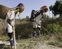 Donna Giraffa etnia Padaung a Loikaw Foto n. AOK8229