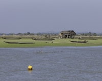 Panoramalungo il Fiume Lemro per arrivare a Sittwe Foto n. AOK8976