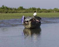 Imbarcazione lungo il Fiume Lemro per arrivare a Sittwe Foto n. AOK8965