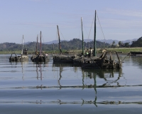 Barche lungo il Fiume Lemro nel territorio Chin vicino Sittwe Foto n. AOK9050