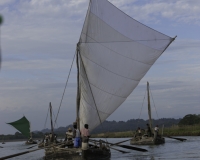 Imbarcazione lungo il Fiume Lemro nel territorio Chin vicino Sittwe Foto n. AOK9181