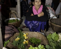 Mercato di Sittwe germogli di soia  Foto n. AOK9243